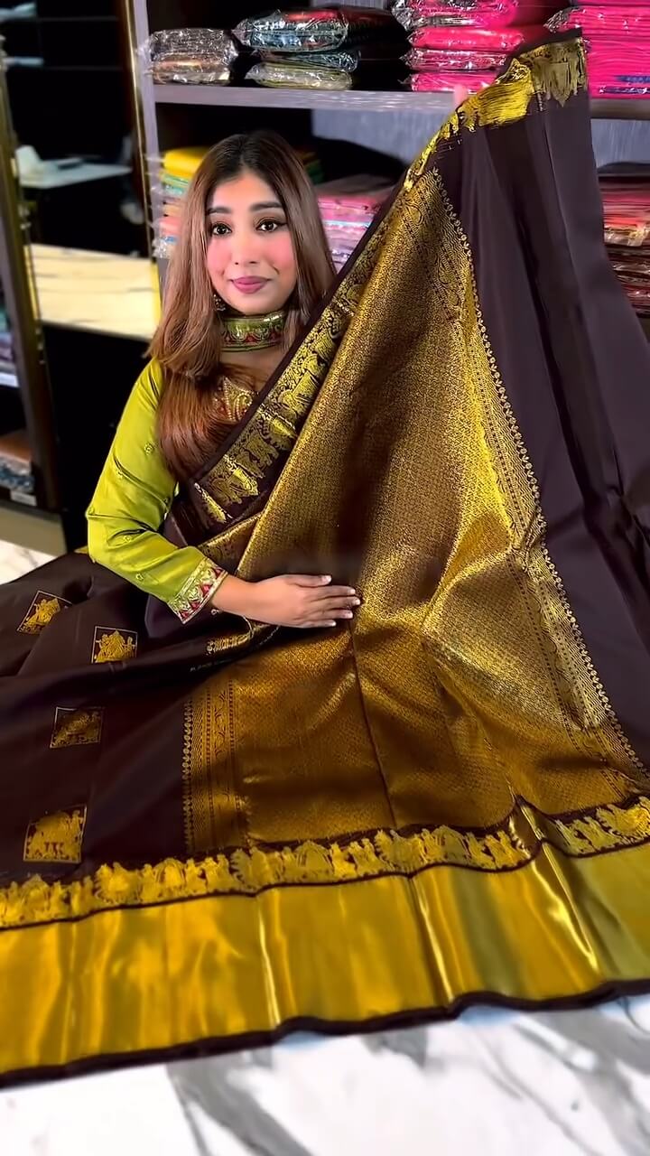 Regal Chocolate Brown &amp; Gold Woven Traditional Saree