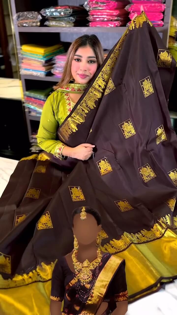 Regal Chocolate Brown &amp; Gold Woven Traditional Saree