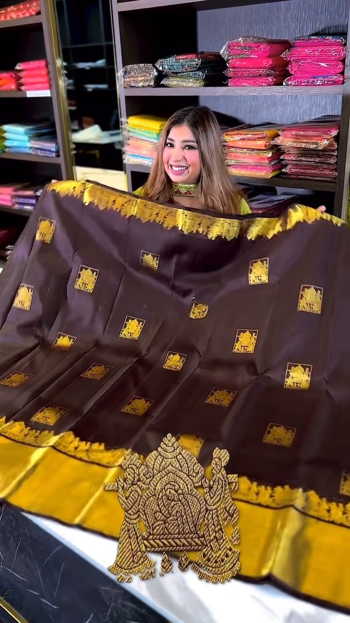 Regal Chocolate Brown &amp; Gold Woven Traditional Saree