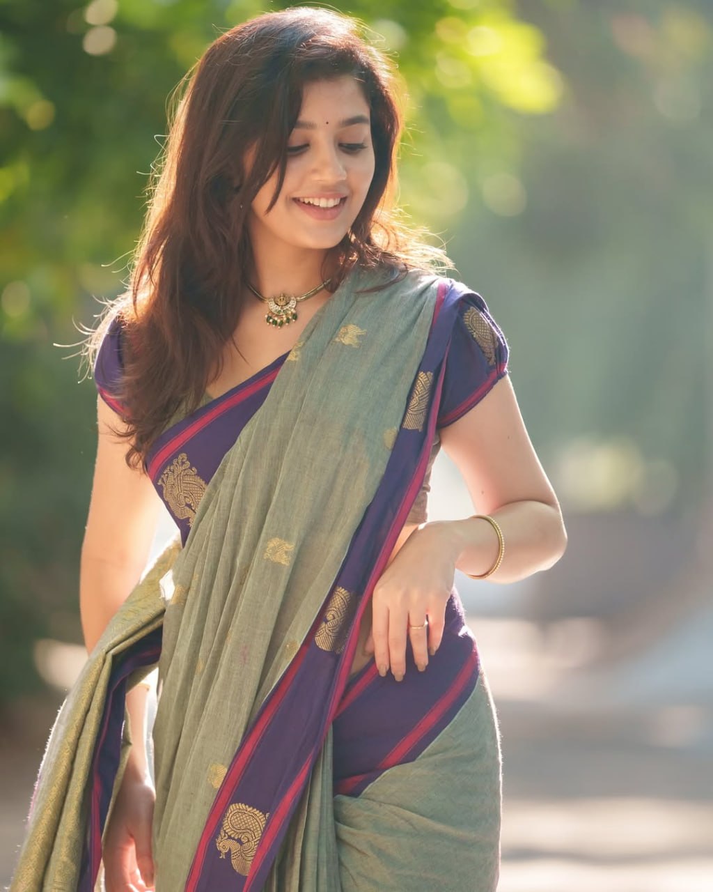 Sage Green and amp Royal Purple Woven Border Traditional Saree