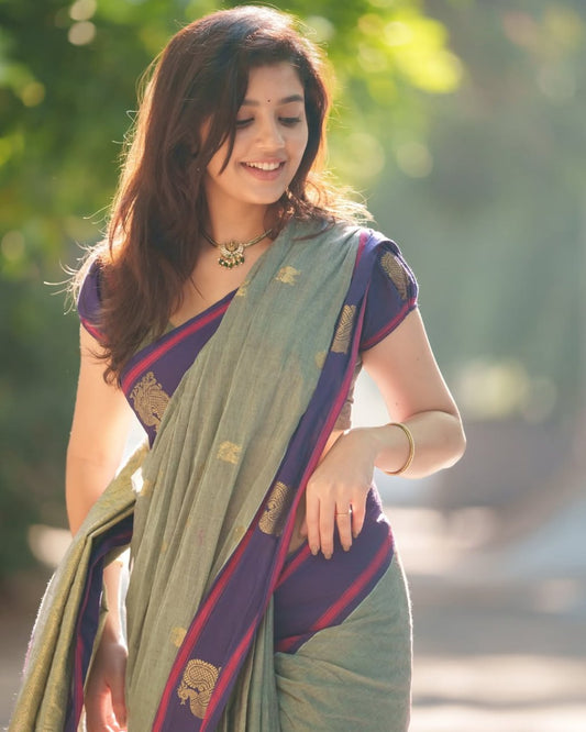 Sage Green and amp Royal Purple Woven Border Traditional Saree