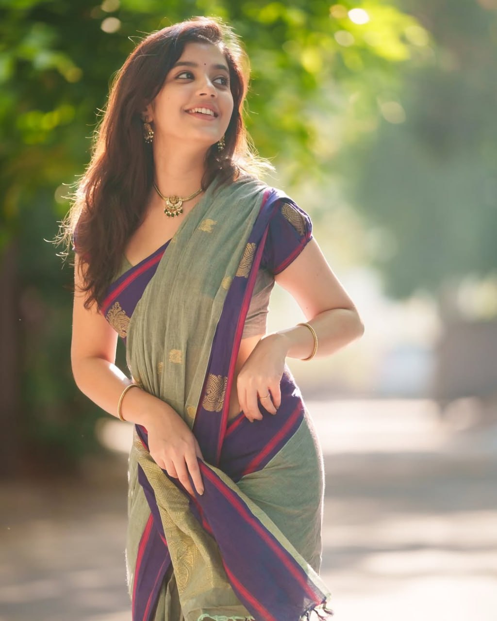 Sage Green and amp Royal Purple Woven Border Traditional Saree