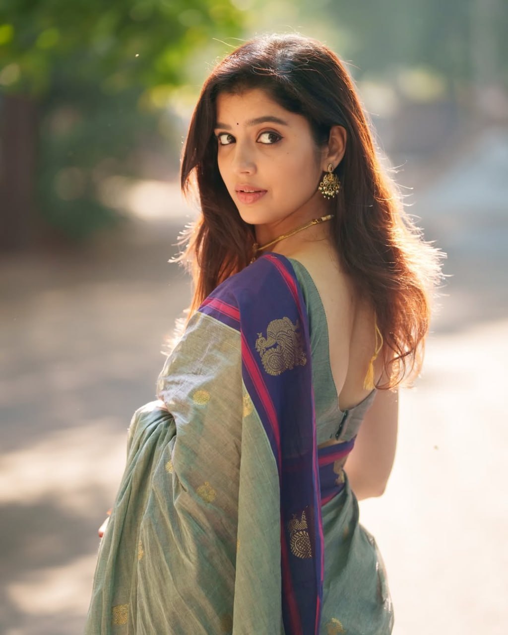 Sage Green and amp Royal Purple Woven Border Traditional Saree