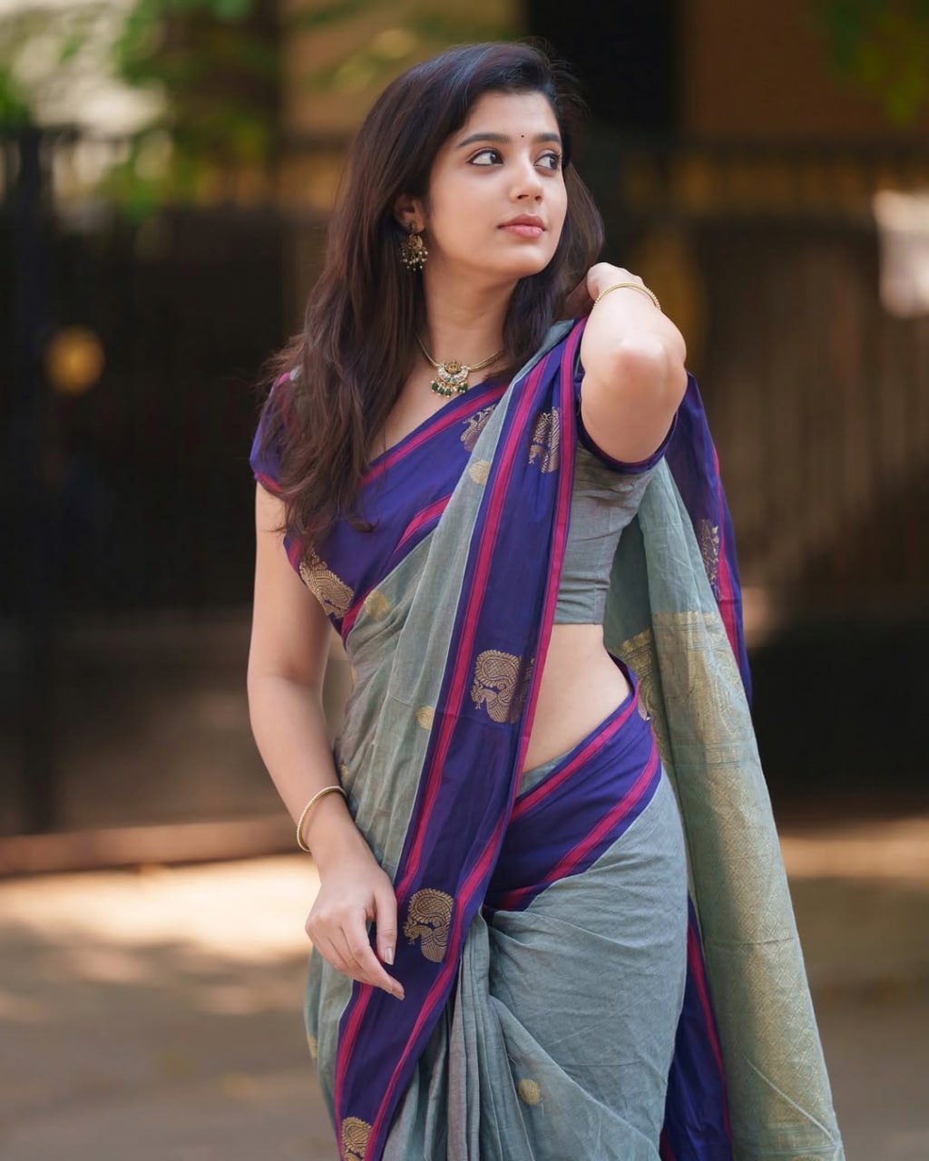 Sage Green and amp Royal Purple Woven Border Traditional Saree